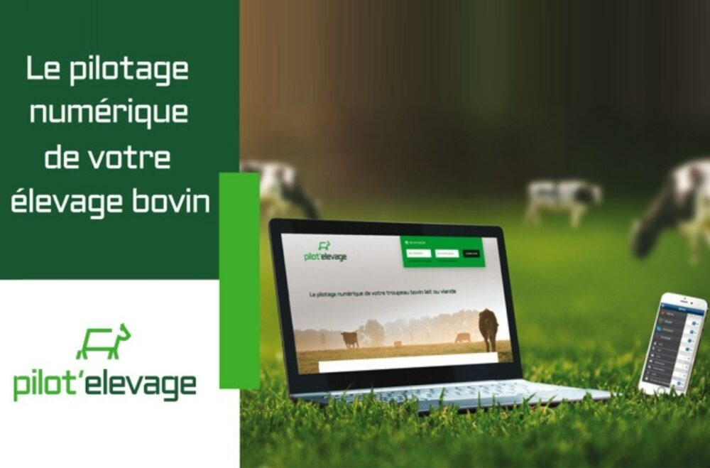 logiciel-outils_numeriques