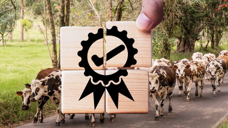 dossiers règlementaires obligations règlementation animale