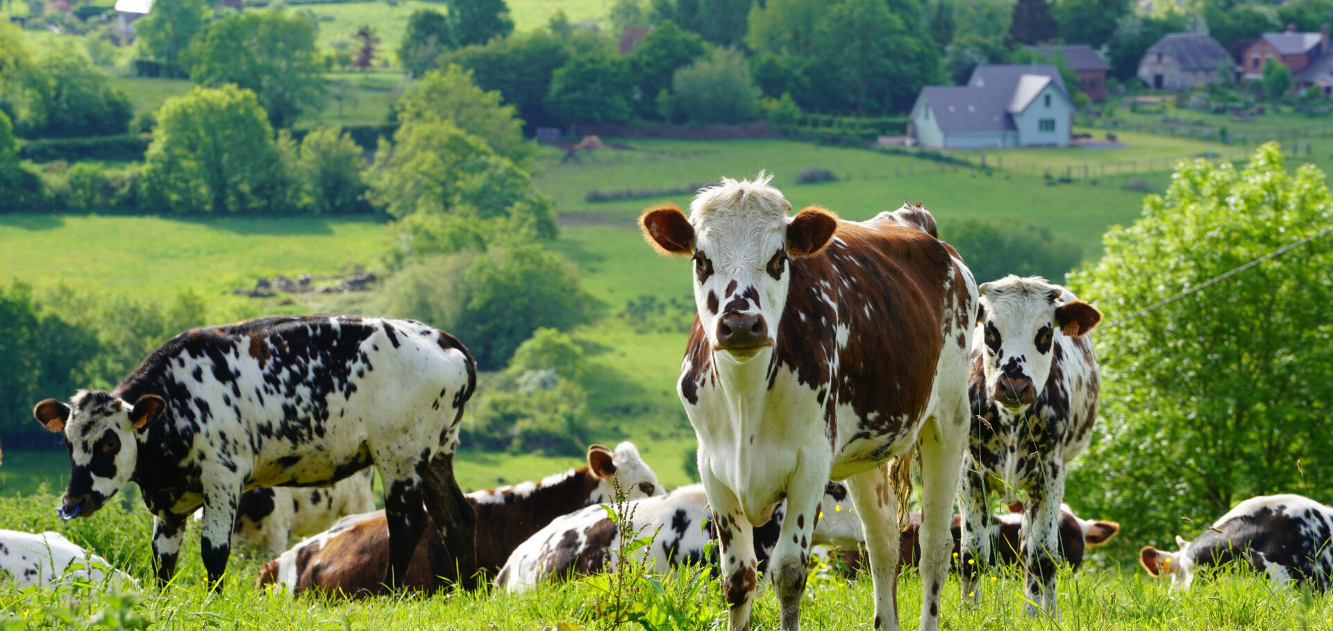 performance technique